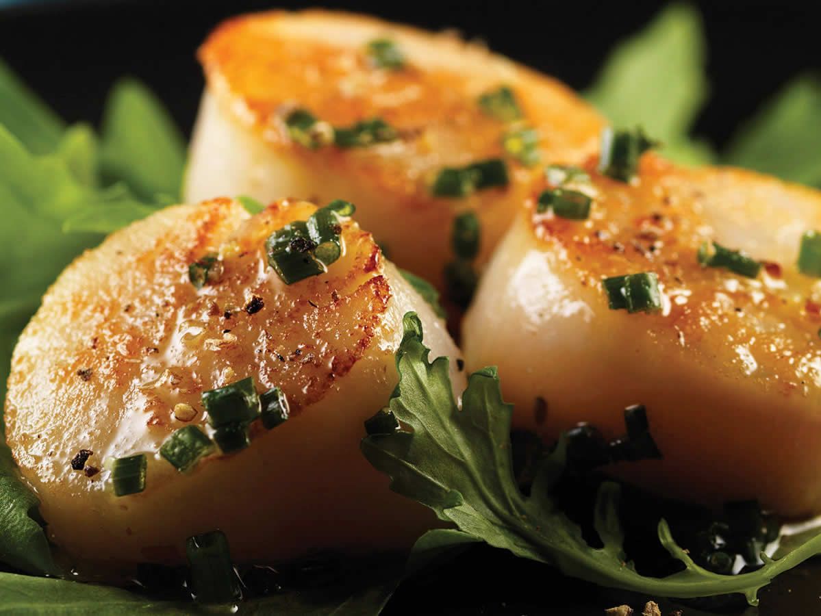 Peggy's Cove Lobster Fresh Steamed Lobster, Live Lobster, Lobster